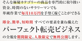 パーフェクト転売ビジネスの全貌